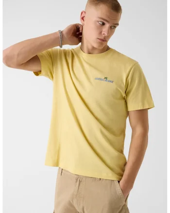 Tricou din bumbac cu imprimeu logo pe partea din spate, Galben