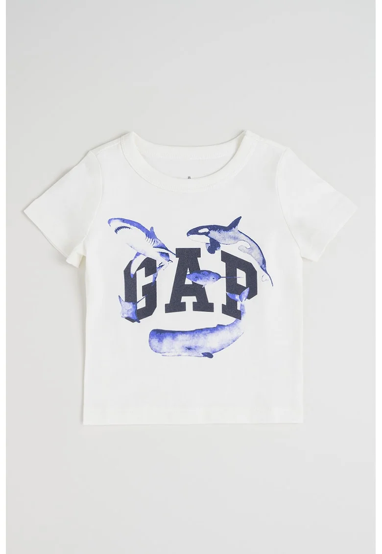 Tricou de bumbac organic, Alb murdar/Albastru