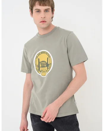 Tricou cu imprimeu logo Shaw, Galben antichizat/Sage Green