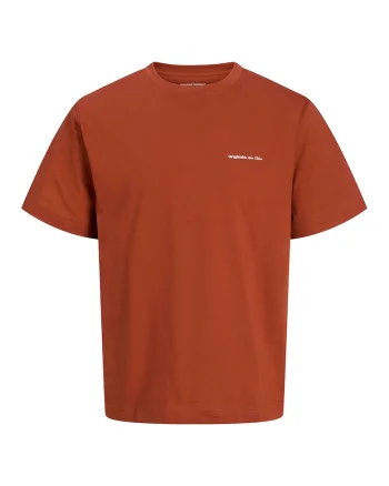 Tricou relaxed fit cu imprimeu pe partea din spate, Alb/Visiniu