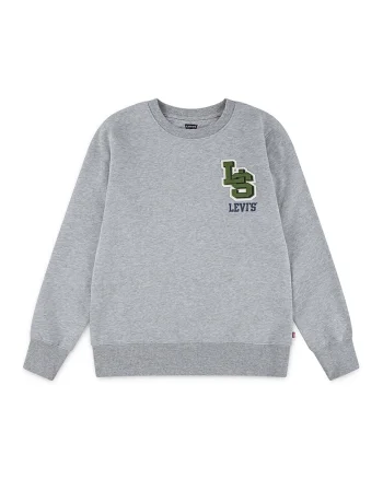 Bluza de trening regular-fit cu logo, Gri melange