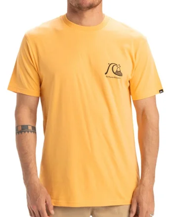 Tricou cu decolteu la baza gatului si imprimeu pe spate