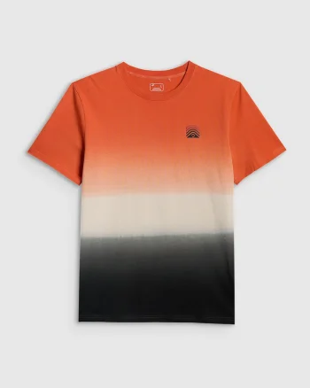 Tricou barbati  relaxed, imprimeu, portocaliu, Multicolor