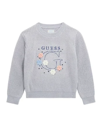 Pulover cu logo brodat, Gri deschis