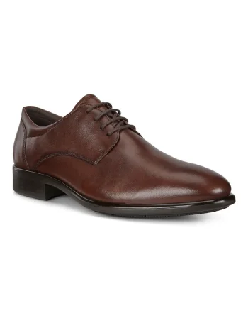 Pantofi barbati  Citytray M, Maro, 512734