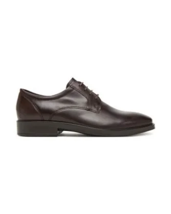 Pantofi barbatesti,  piele, maro