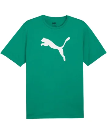 Tricou barbatesc  Team Rise, bumbac, verde, logo mare