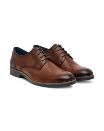 Pantofi barbatesti,  piele naturala, maro/maro inchis