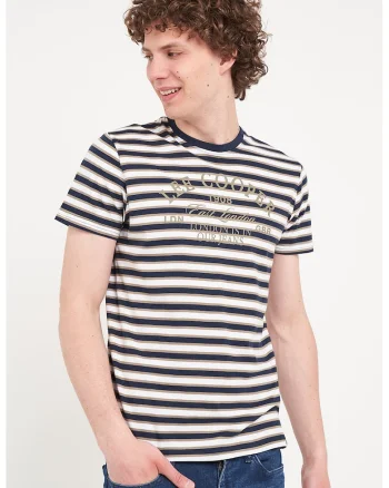 Tricou cu decolteu la baza gatului si model in dungi, Alb murdar/Albastru