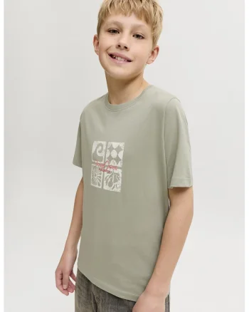 Tricou de bumbac organic cu imprimeu, Alb/Verde pastel