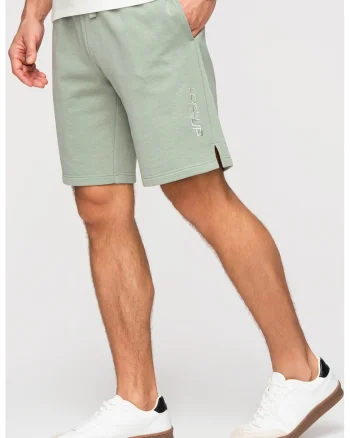 Pantaloni scurti regular fit cu snururi de ajustare, Gri cenusiu