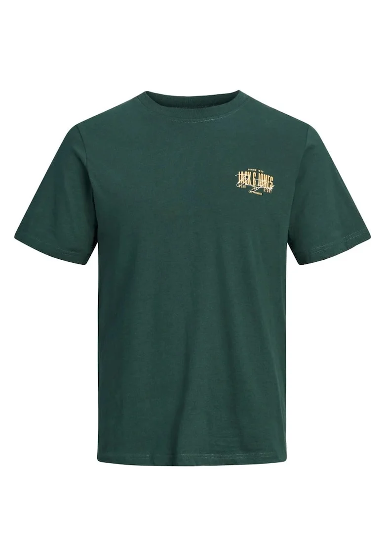 Tricou barbati la baza gatului, din bumbac, Regular Fit, JJAERO