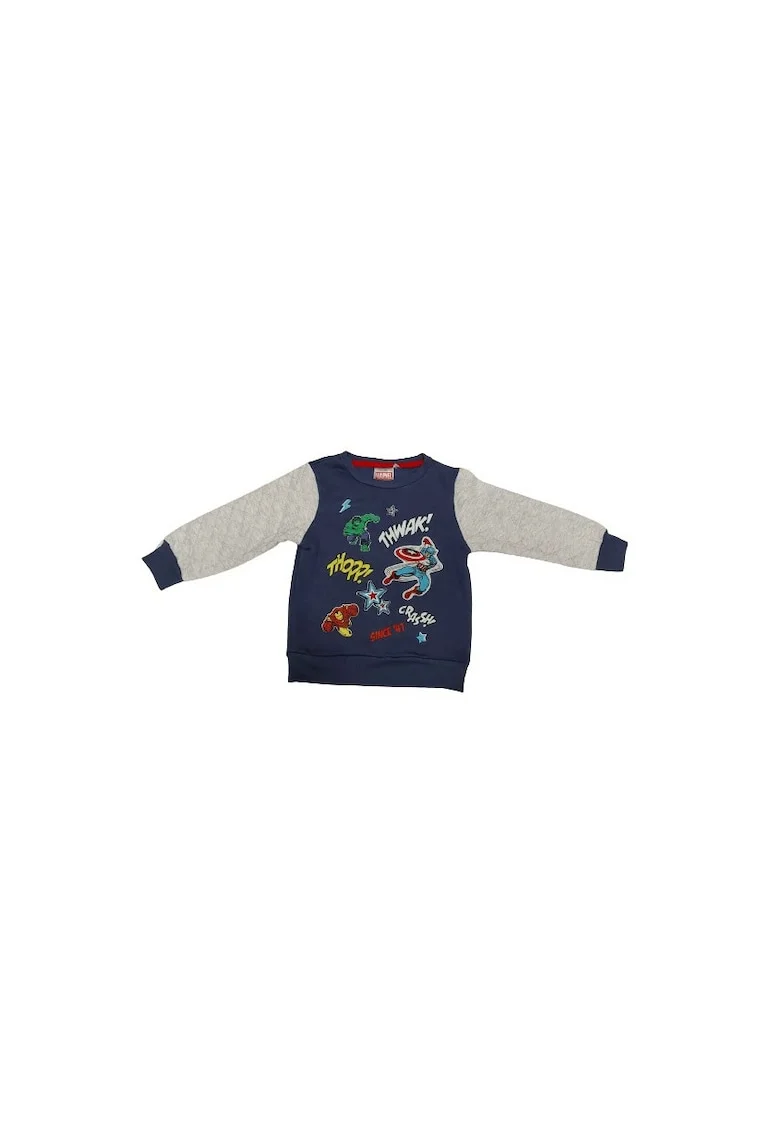 Bluza de trening cu model colorblock, Gri/Albastru