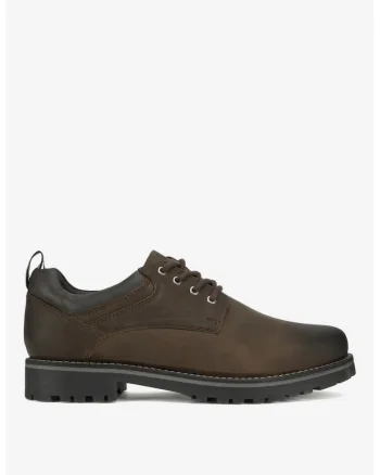 Pantofi barbati  5905588767626, Piele naturala, Maro, Maro