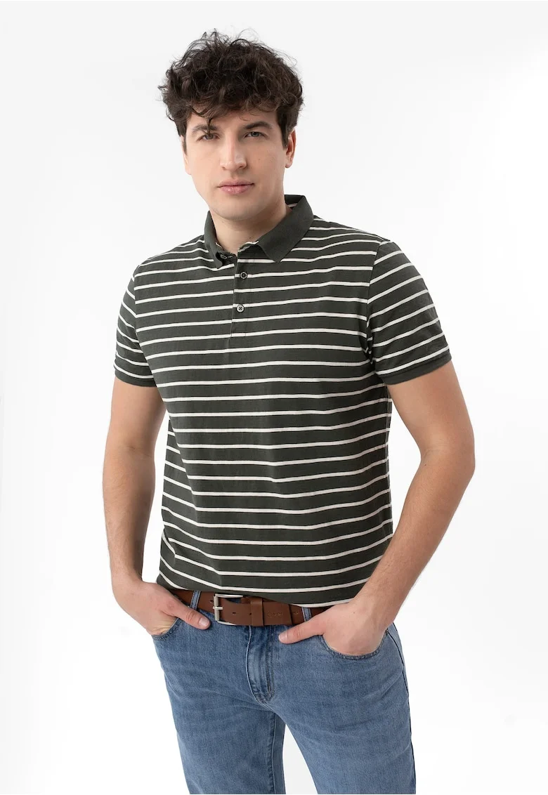 Tricou polo barbati cu dungi din bumbac, Regular Fit,  O-Lantiano, verde, Verde