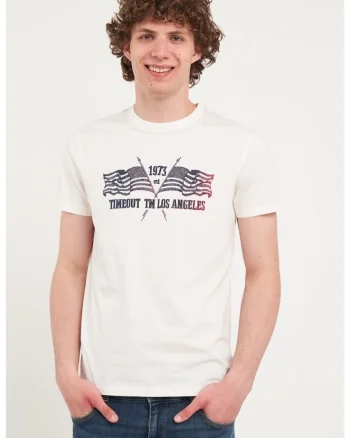 Tricou din bumbac cu decolteu la baza gatului, Snow White