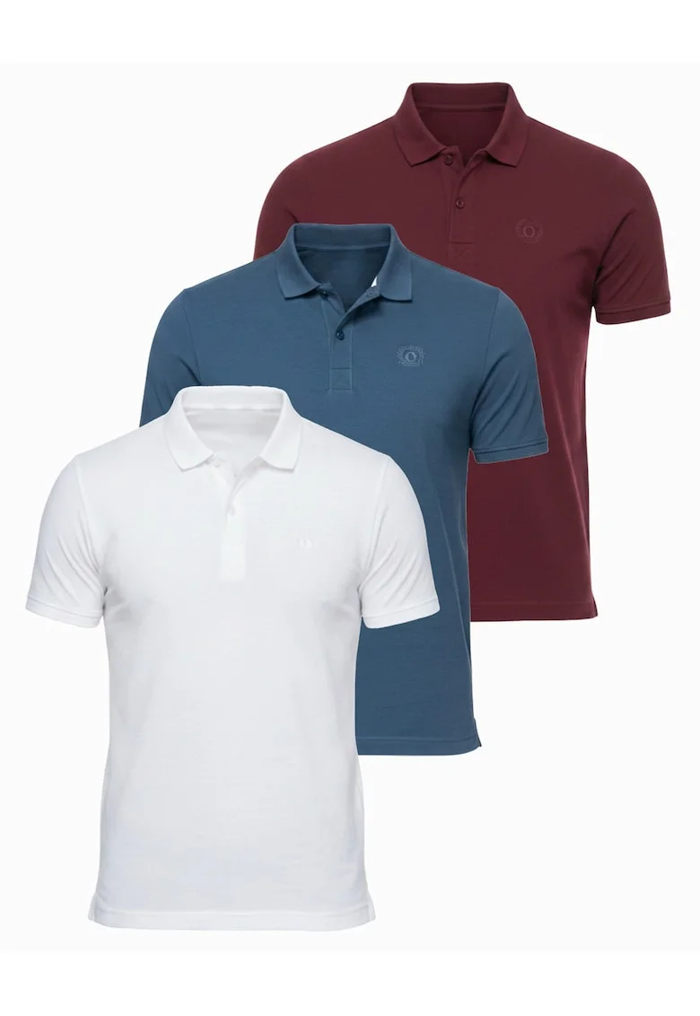 Tricou polo cu detalii de broderie si material piqué, Alb/Visiniu/Albastru inchis