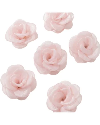 Agrafa par,  Organza, Roz