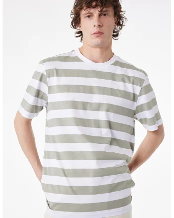 Tricou de bumbac cu dungi, Alb/Gri antichizat