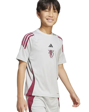Tricou cu decolteu la baza gatului pentru fotbal, Visiniu/Gri deschis
