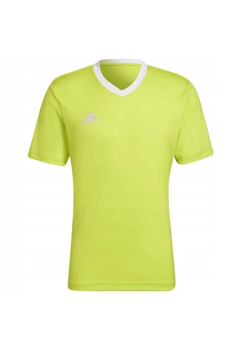 Tricou sport barbati,  Entrada 22, Poliester, Galben lime, Galben lime