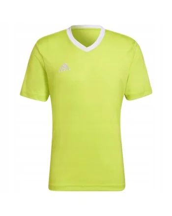 Tricou sport barbati,  Entrada 22, Poliester, Galben lime, Galben lime