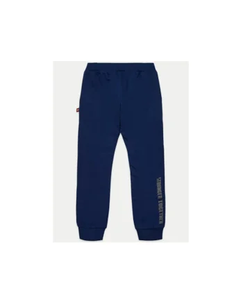 Pantaloni baieti,  304284793, Bumbac organic, Albastru, Albastru