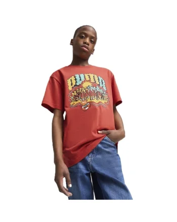 Tricou  Graphics Puma Tee III B-629874-15