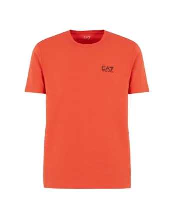 Tricou  pentru Drumetie, 8NPT26-PJVQZ-1672, Alb, Alb