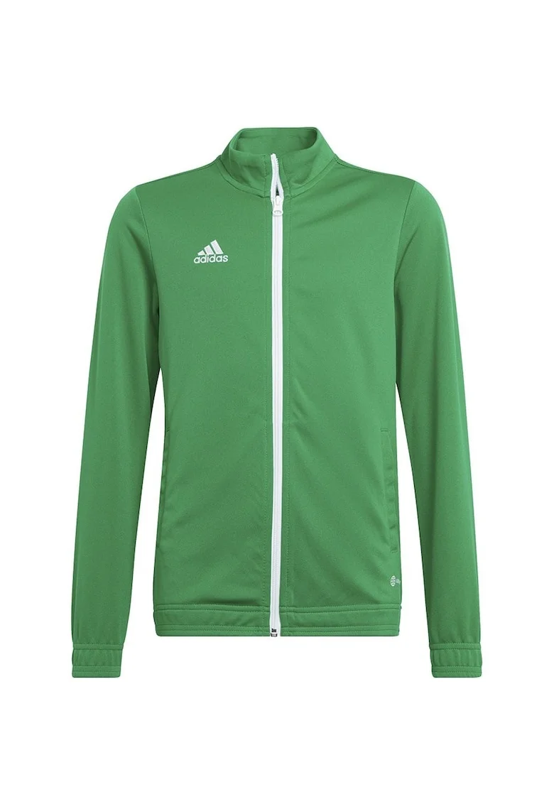 verde, poliester - 54987