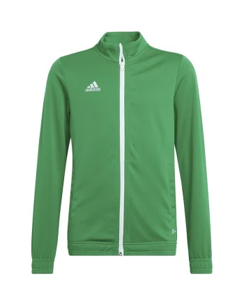 verde, poliester - 54987