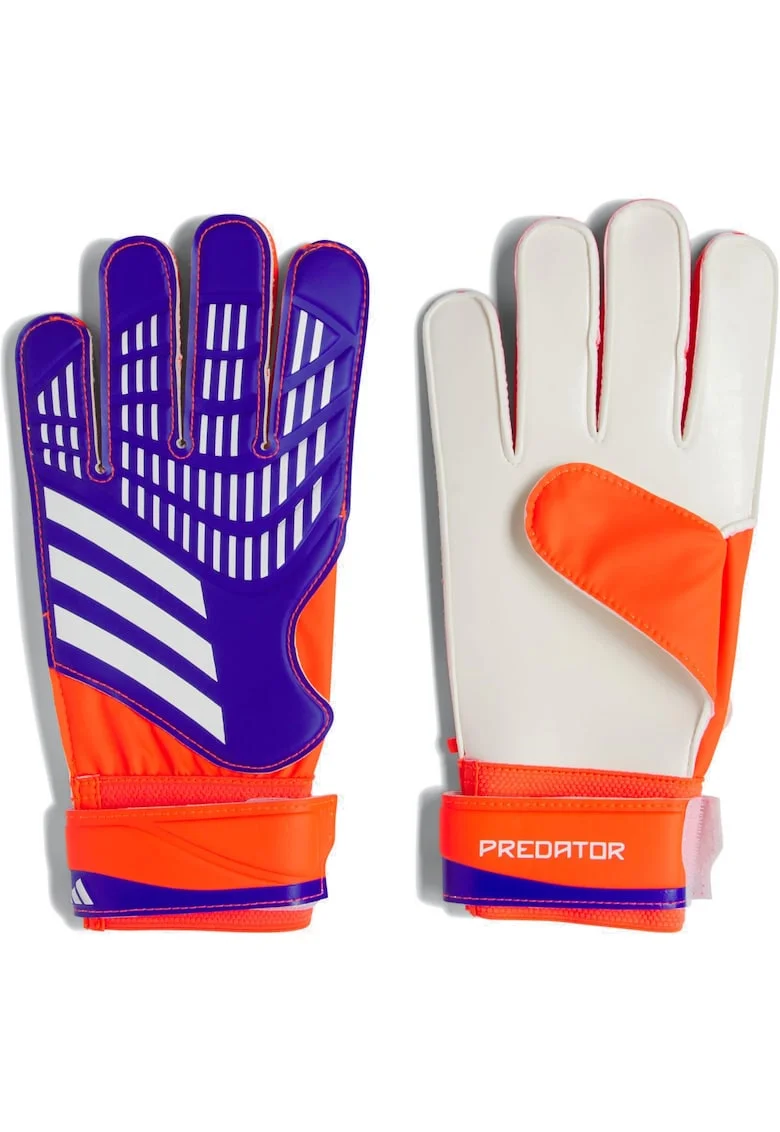 Manusi portar Adidas Predator Training, Rosu/Albastru