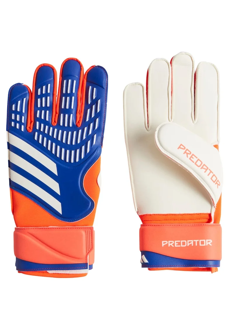 Manusi portar Adidas Predator MTC, albastru/portocaliu