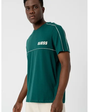 Tricou din bumbac cu logo, Verde pal/Verde englez