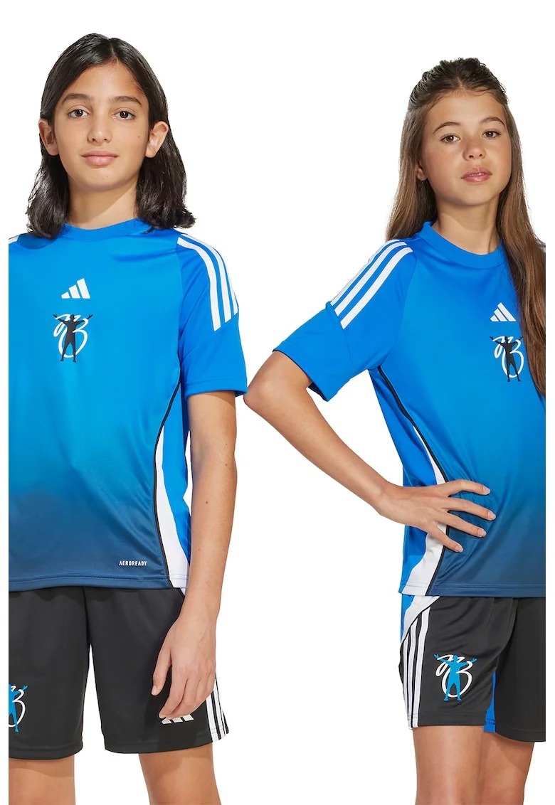 Tricou cu logo, pentru fotbal, Alb/Albastru