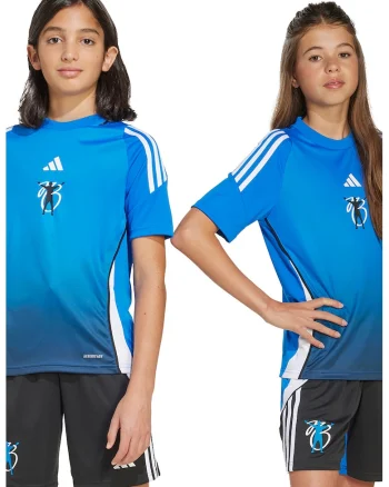 Tricou cu logo, pentru fotbal, Alb/Albastru