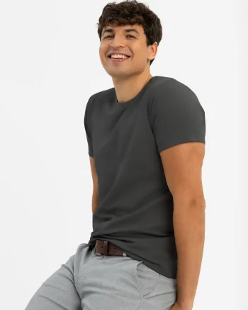 Tricou barbati din bumbac,  T-Basic, Regular Fit, grafit, Gri grafit