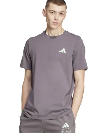 Tricou din bumbac Mercedes AMG Petronas, Grej