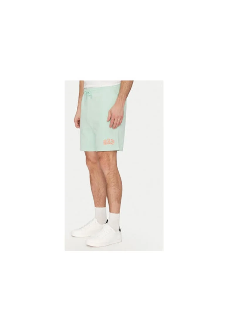 Pantaloni scurti sport barbati  703989-01, Bumbac /Poliester reciclat, 46794, Verde