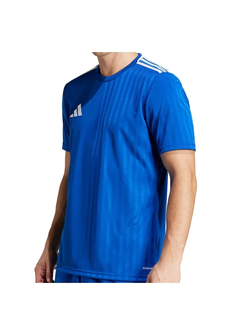 Tricou  Campeon 25 barbati, Albastru