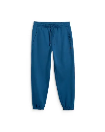 Pantaloni sport barbati,  albastru