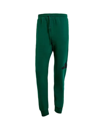 Pantaloni sport barbati,  JE8971, verde, bumbac/poliester