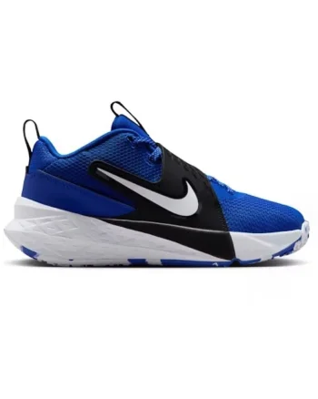 Pantofi sport  TEAM HUSTLE D 12 GS-HF6279-400