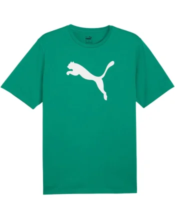Tricou sport barbatesc  Team Rise, bumbac, verde, logo mare,