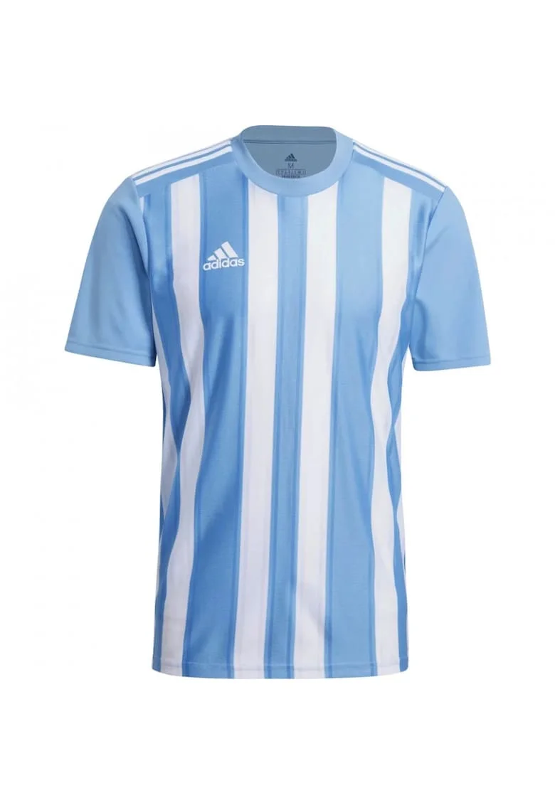 Tricou barbati,  Barbati, Polyester, Albastru/Alb, Alb/Albastru deschis