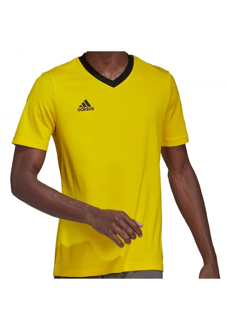 Tricou  Entrada 22 barbati, Galben