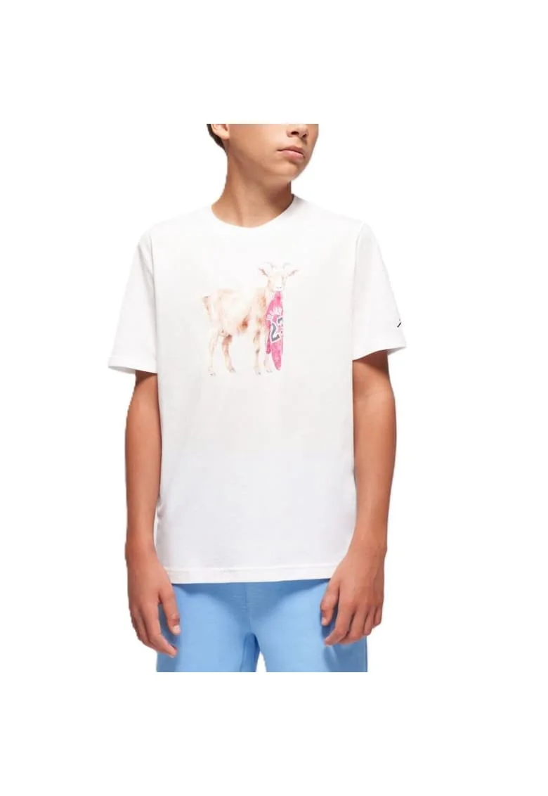 Tricou  JDB MJ FLT GOAT SS CREW-95F314-001