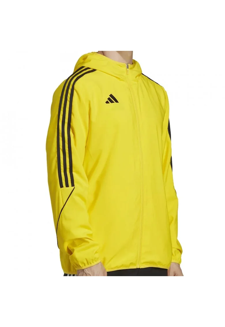 Hanorac  Tiro 23 League Windbreaker barbati, Galben