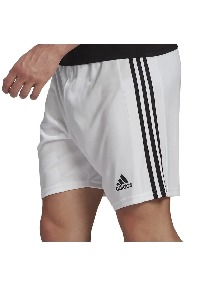 Pantaloni  Squadra 21 barbati, Alb