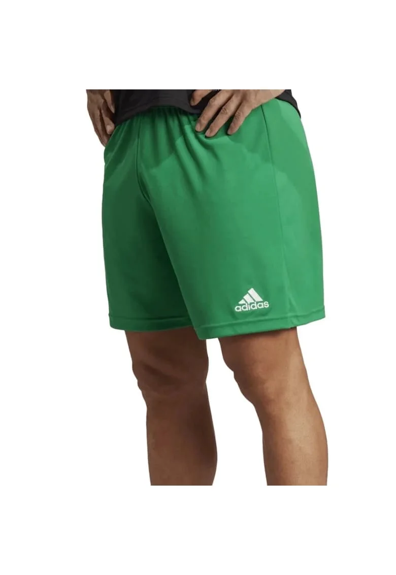Pantaloni  Entrada 22 barbati, Verde